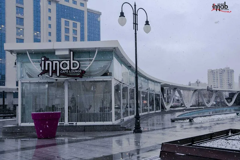 Photograph of İnnab